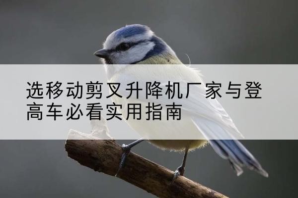 威远电动升降机厂家-选移动剪叉升降机厂家与登高车必看实用指南
