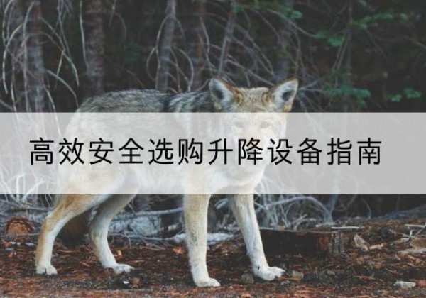 威远升降货梯厂家推荐-*安全选购升降设备指南