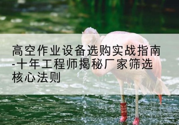 威远剪叉式升降机厂家-高空作业设备选购实战指南-十年工程师揭秘厂家筛选核心法则